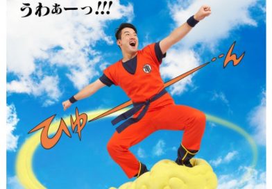 Dragonball Wolke kaufen Merchandise